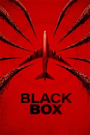 Black Box (Flight 298) poster